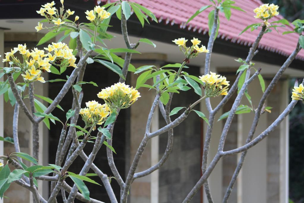 Lala Home Stay Nusa Dua  Eksteriør bilde